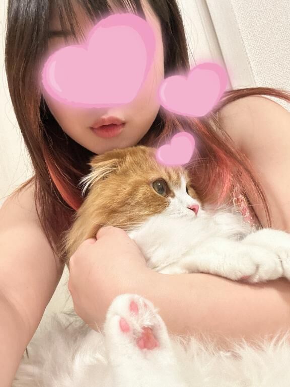 &#128049;&#128062;