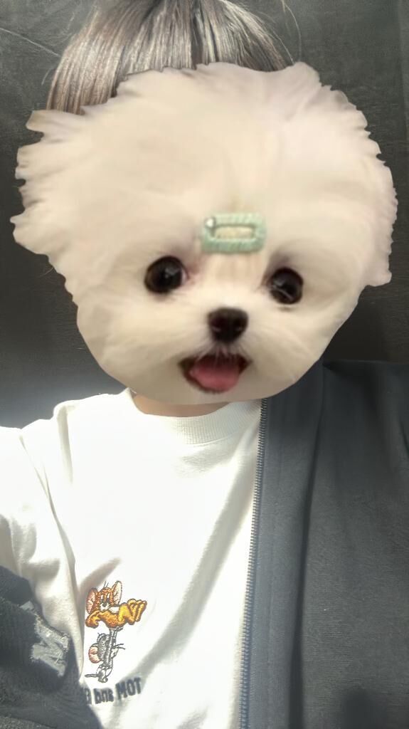 いるよ&#x301C;！