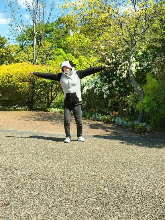 今日は、、、