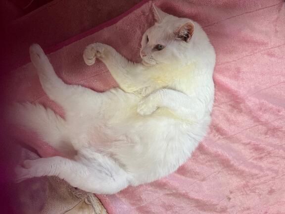 本当に感謝です(&#10049;&#7447;&#840;&#748;&#7447;&#840;)&#129402;