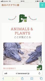 行ってみたい