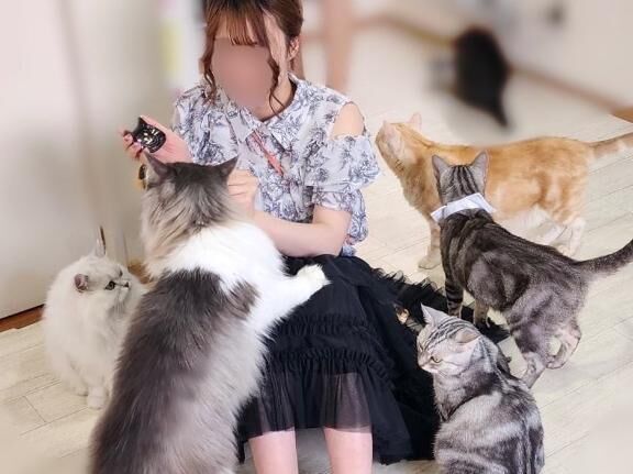お兄様限定の、甘えたがりにゃんこです♡♡♡♡