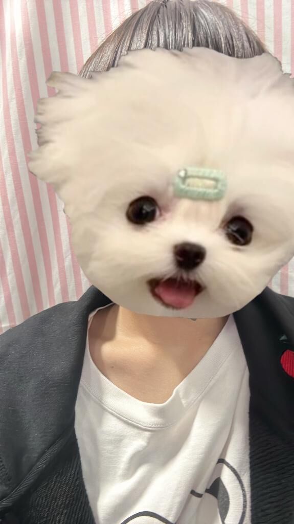 まってる