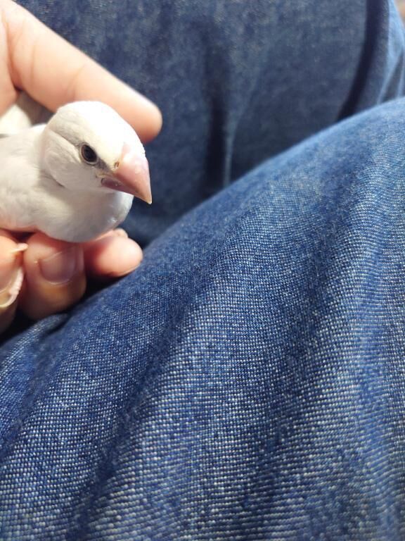 おでかけエンジョイ＼(^o^)／