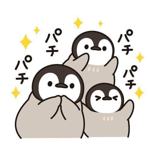 めちゃくちゃ良かった！！