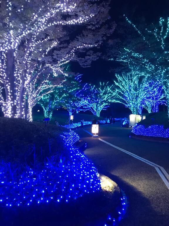 今晩は。(^ ^)