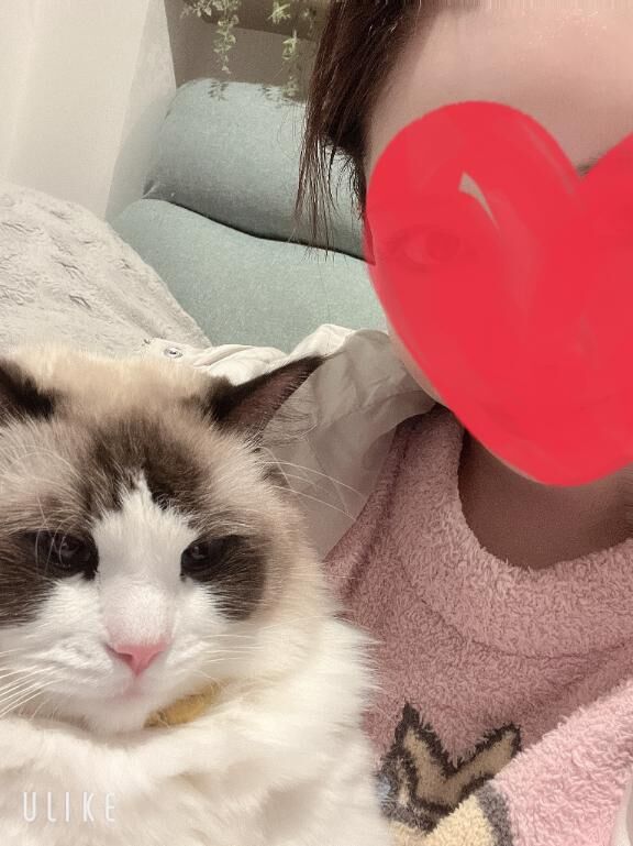 あした