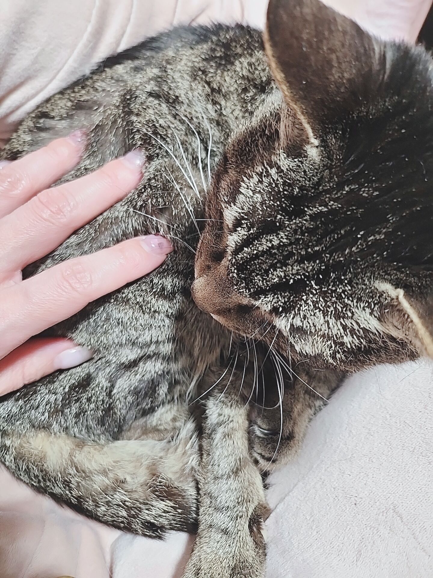 癒しはお任せあれ&#9825;