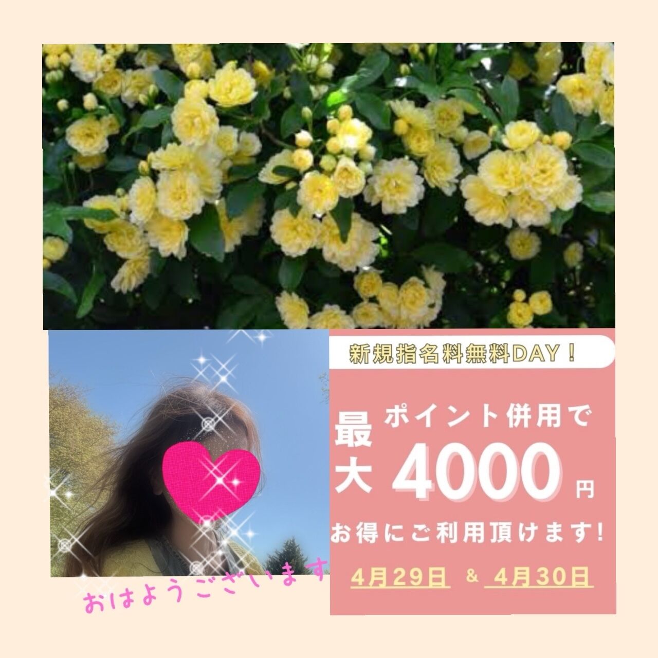 おはようございます♪