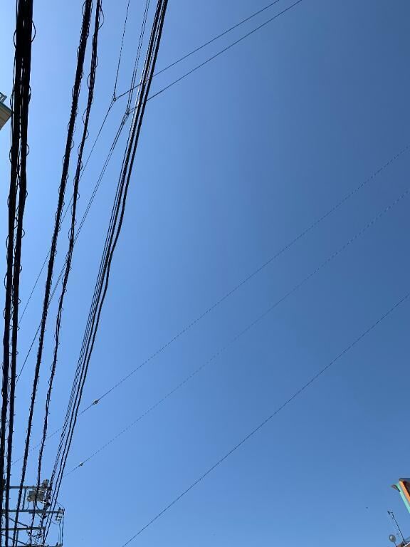 今日も