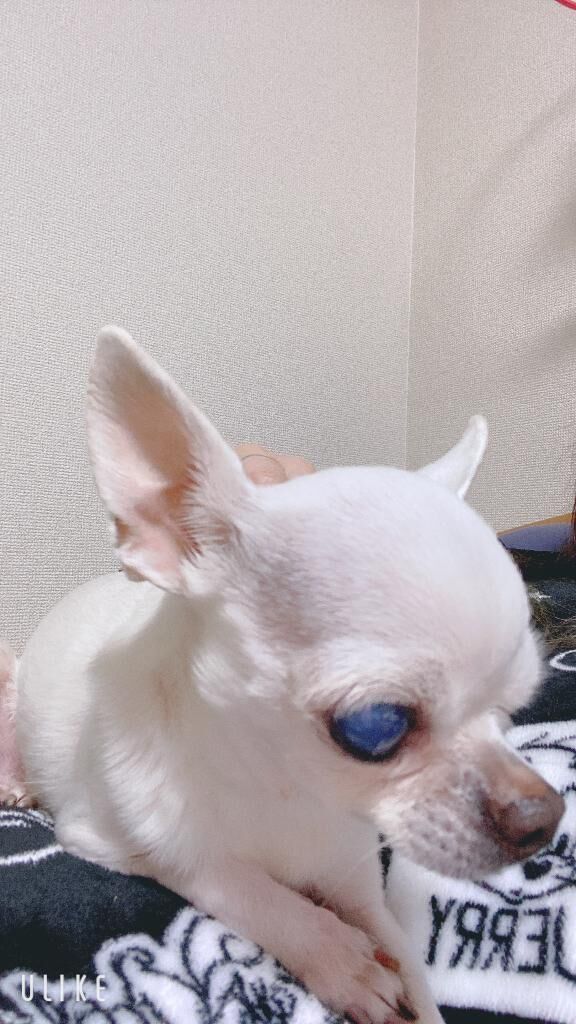 いつもより