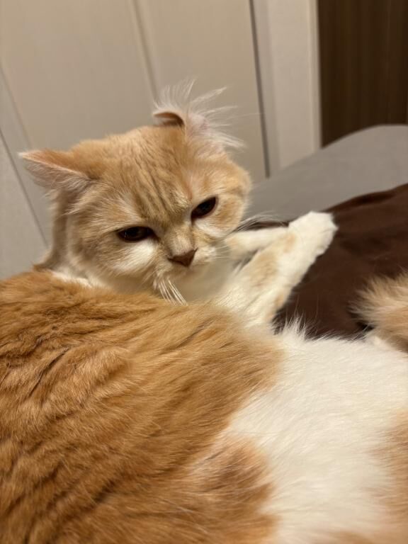 AM&#9825;