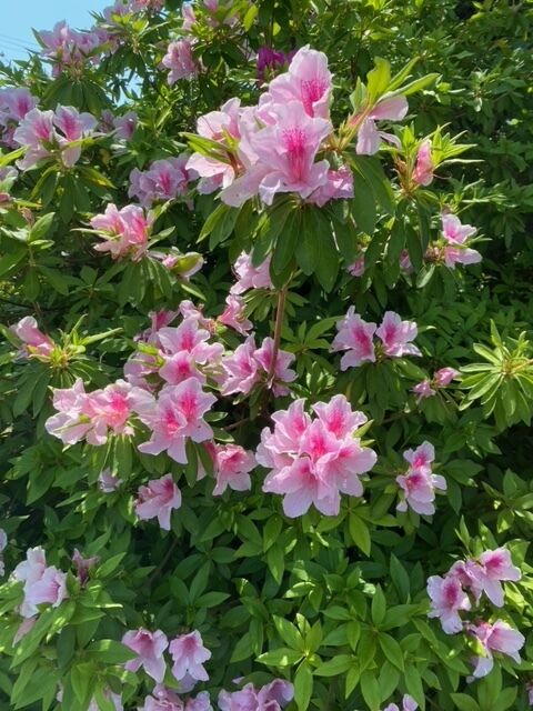こんにちは&#128522;