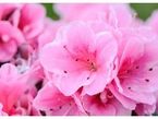 4月の感謝