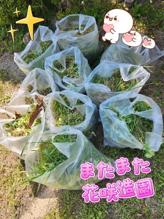 花咲造園の日&#127795;