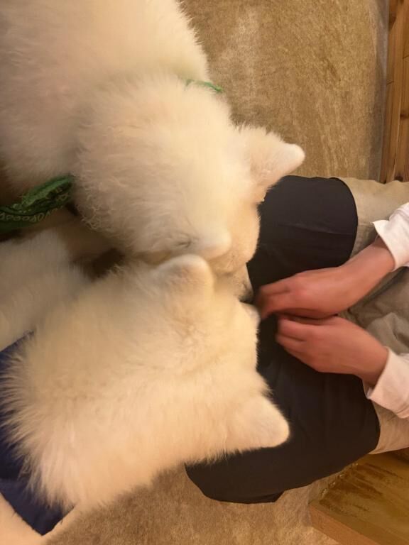 今日も楽しい一日を