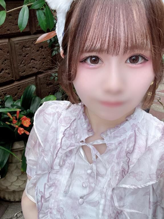 姫予約はじまった！