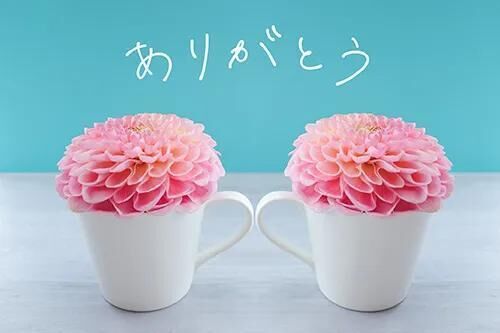 お礼&#128140;