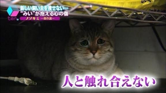 受終.