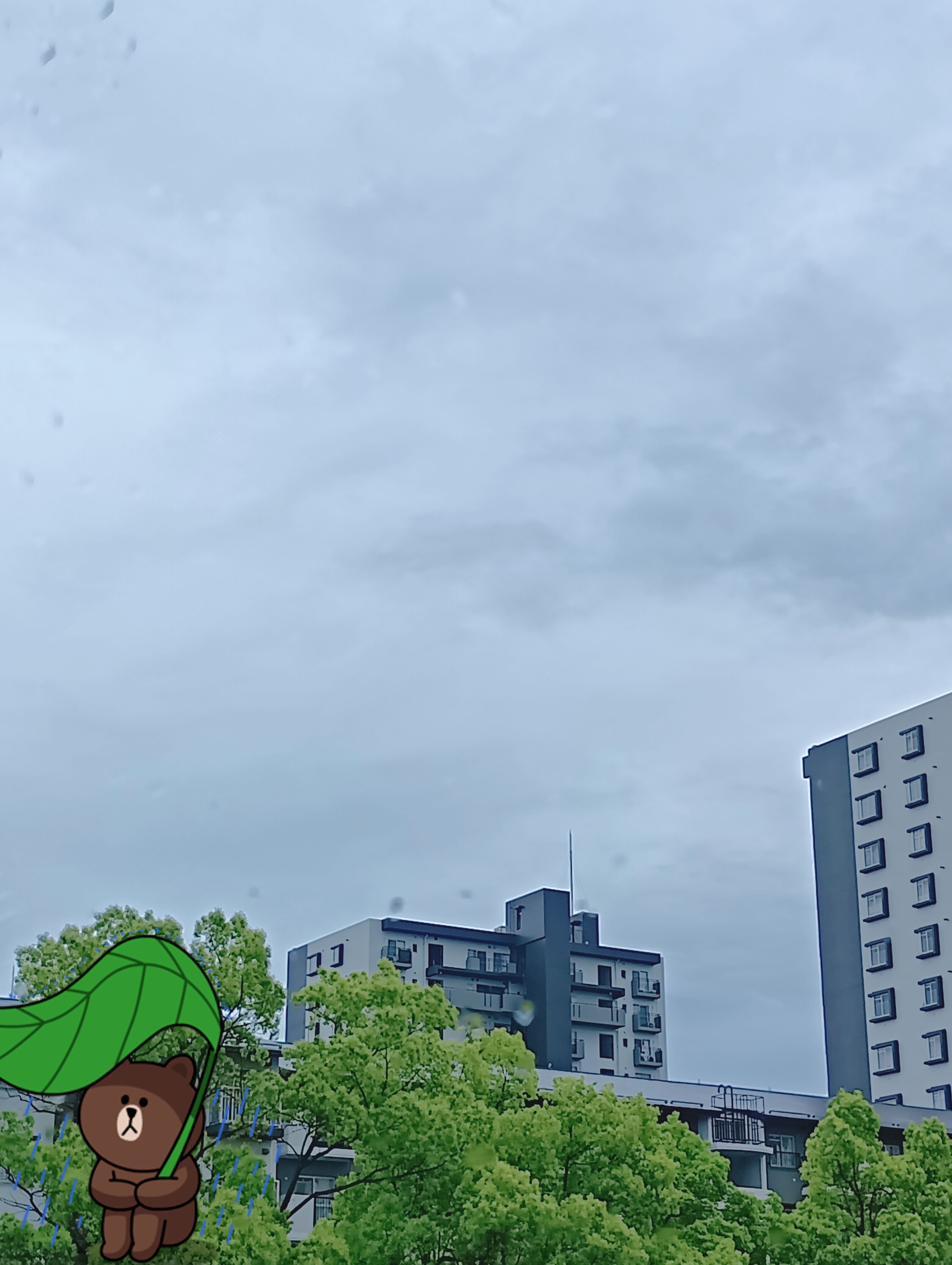 雨だね。(-_-)