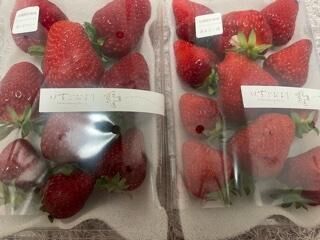 いちご
