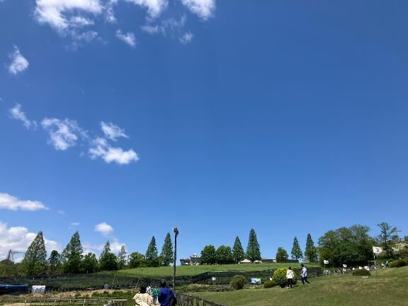 出勤日♪