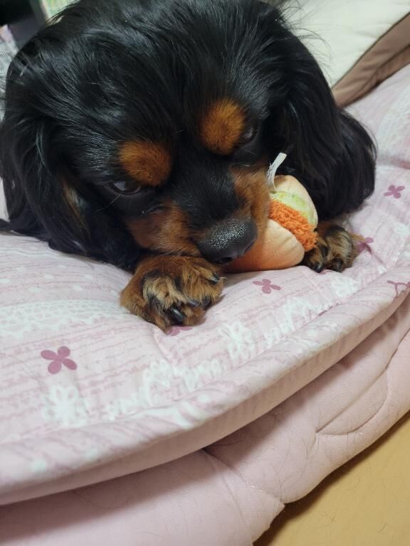 短時間だけど&#129402;