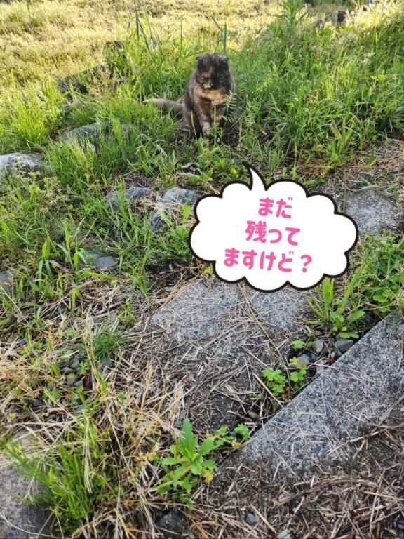 厳しい現場監督&#128119;&zwj;♂&#65039;