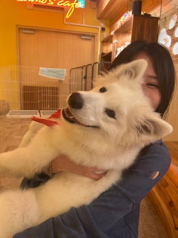 明日は&#10084;&#65039;&zwj;&#128293;