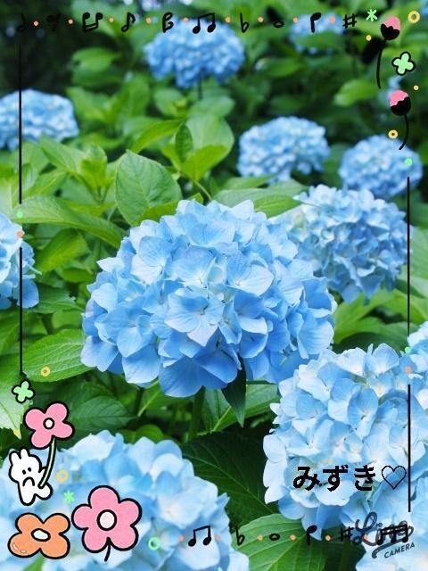 おはようございます&#9825;