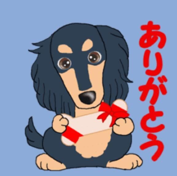 P指様、ありがとう