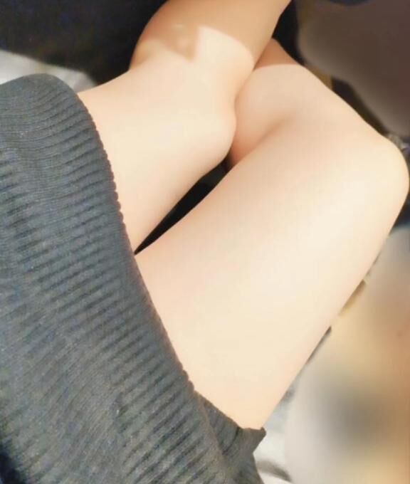 今日の予定