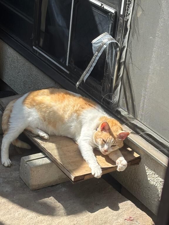 ポカポカ