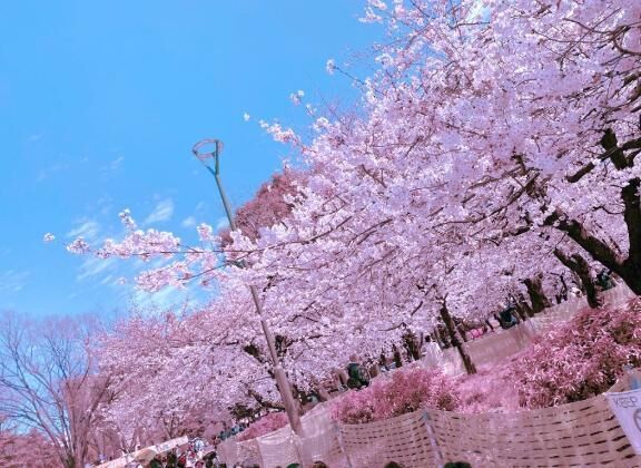 年1&#9825;