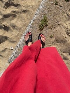 太陽と海