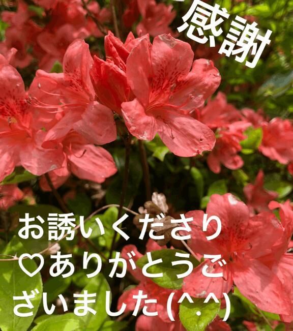 お礼です&#9825;
