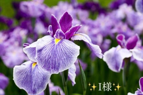 お礼状