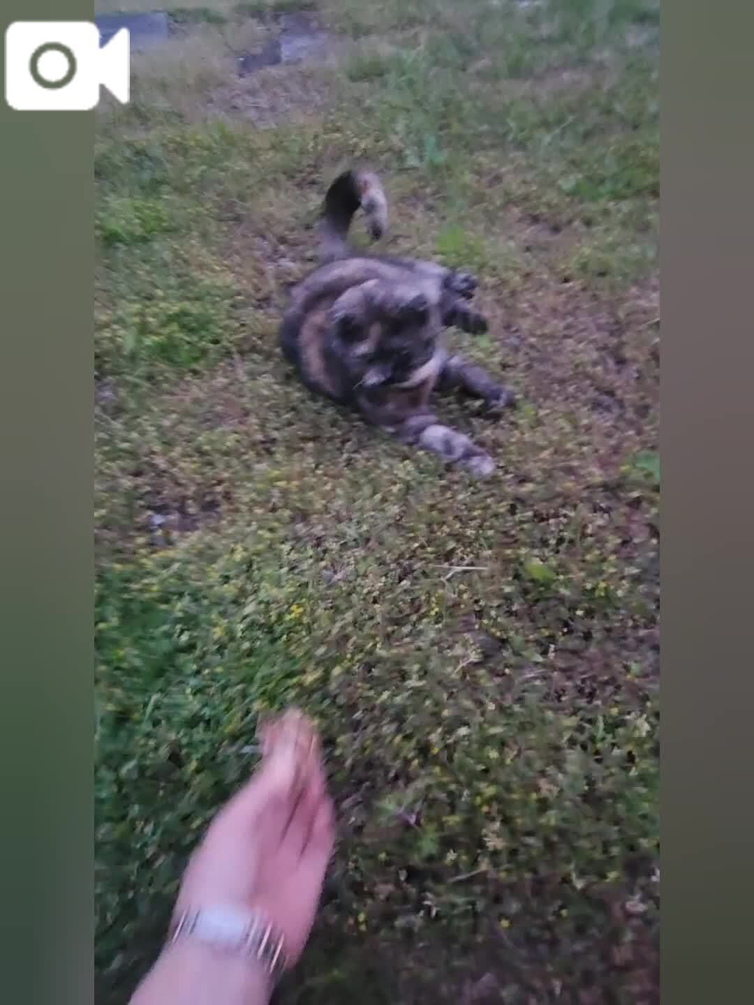 キャッチボール&#9918;