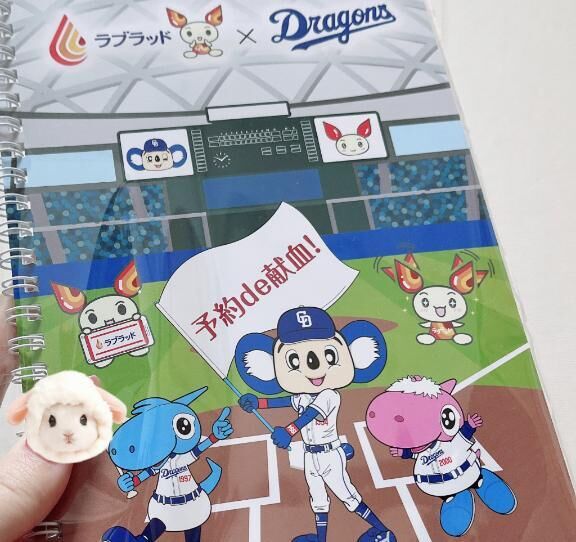 シャオパオもかわいいんよね