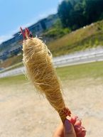 ヒント2