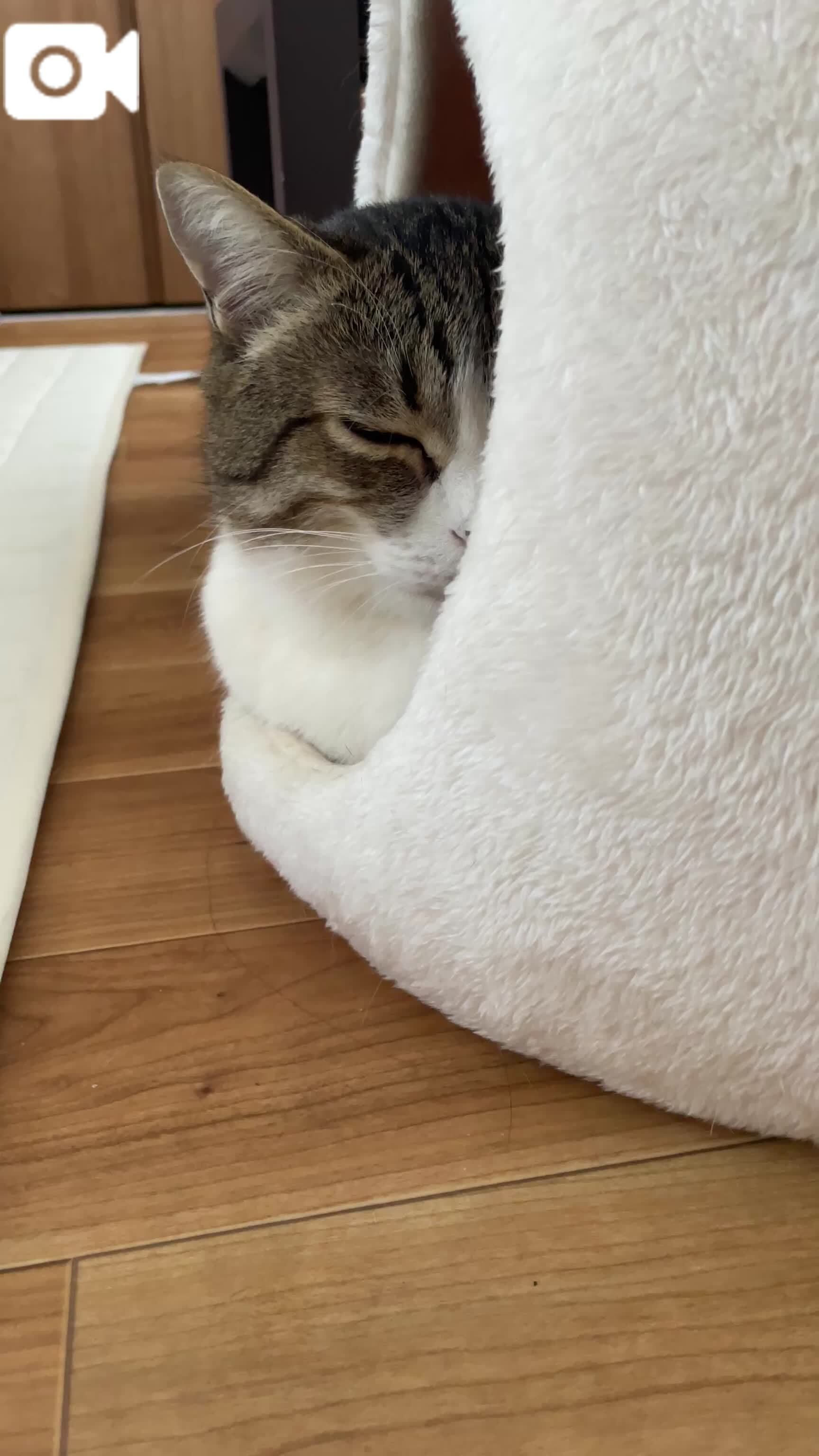 今日も…