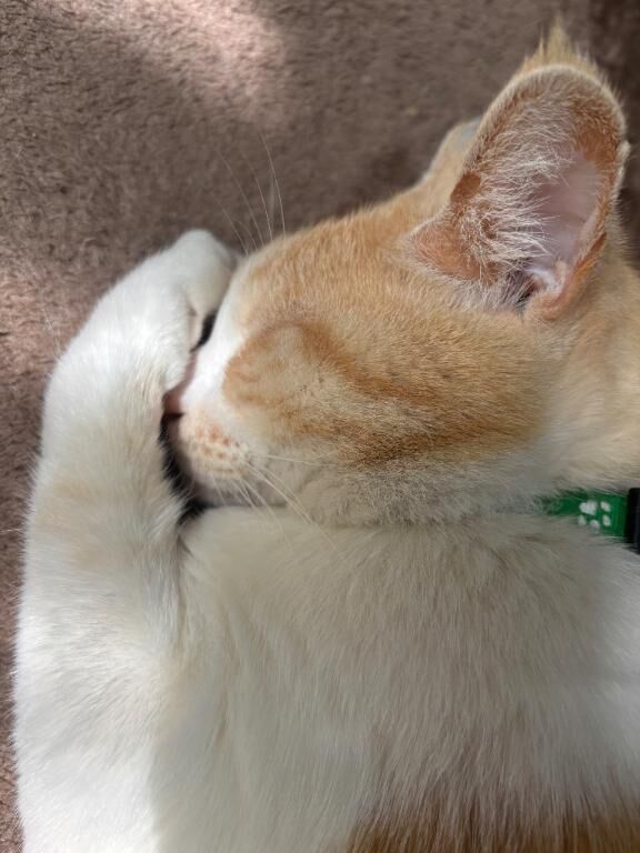 朝から