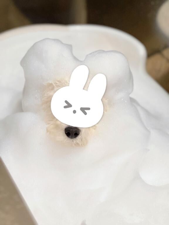 ごめんなさい&#9825;