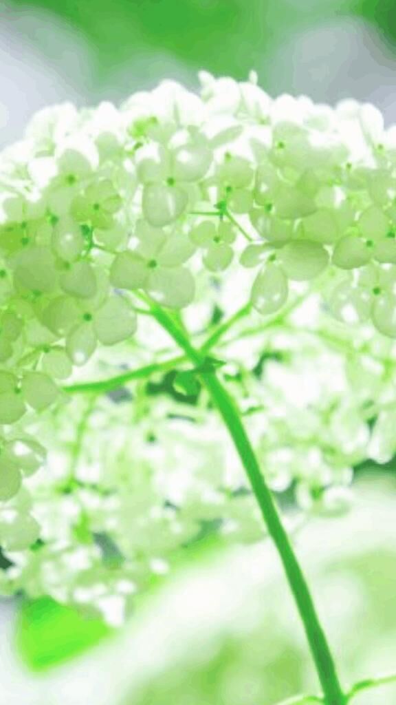 ☆おやすみなさい☆