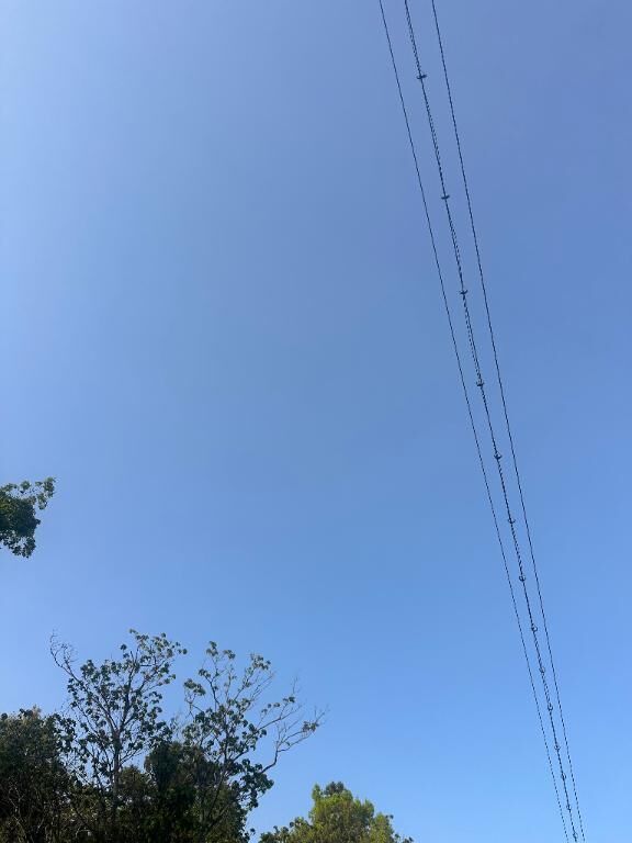 おはようございます&#9728;&#65039;