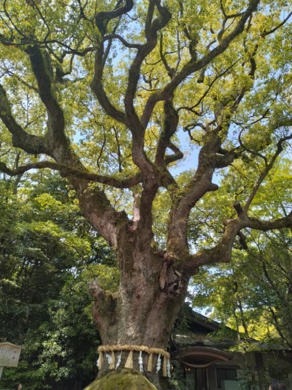 １日に…