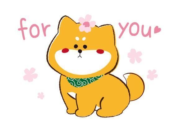 キテネ&#10084;&#65039;