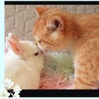 明日6日\(^o^)/