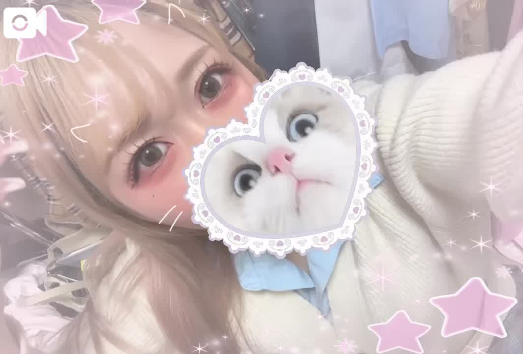 しゅ！