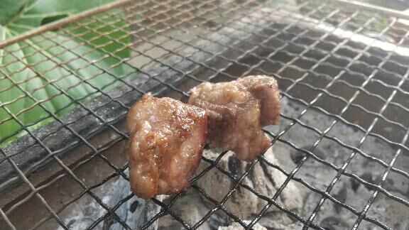 こんにちわ？こんばんは？
